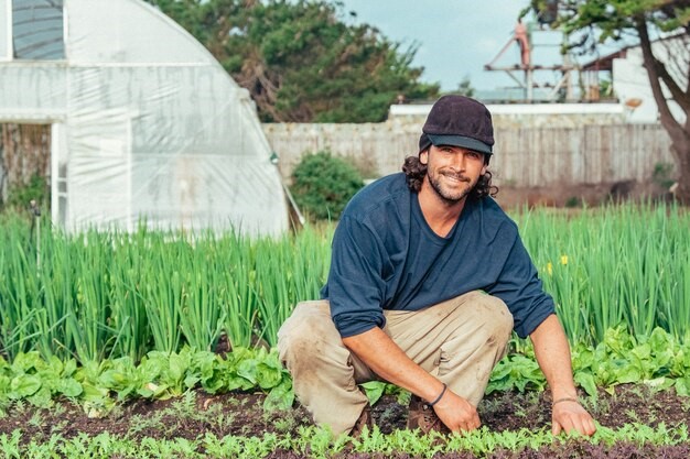 Foundation and civilization of agriculture