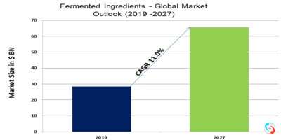 Fermented Ingredients - Global Market Outlook (2019-2027)