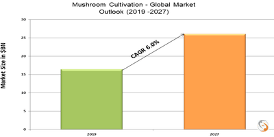 Mushroom Cultivation 